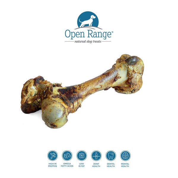 Open Range Cured Dino Bone Dog