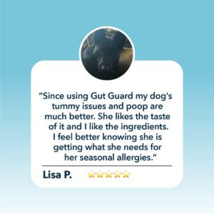 Four Leaf Rover - Gut Guard - For Dogs With Irritated, Leaky Guts