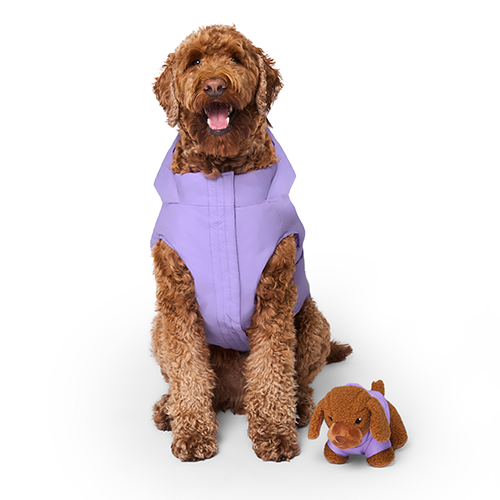 Canada Pooch® Mini-Me Pooch Pal Bailey the Doodle Plush Dog Toy