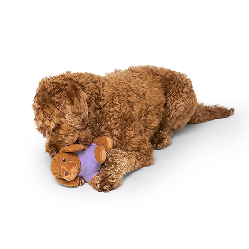 Canada Pooch® Mini-Me Pooch Pal Bailey the Doodle Plush Dog Toy
