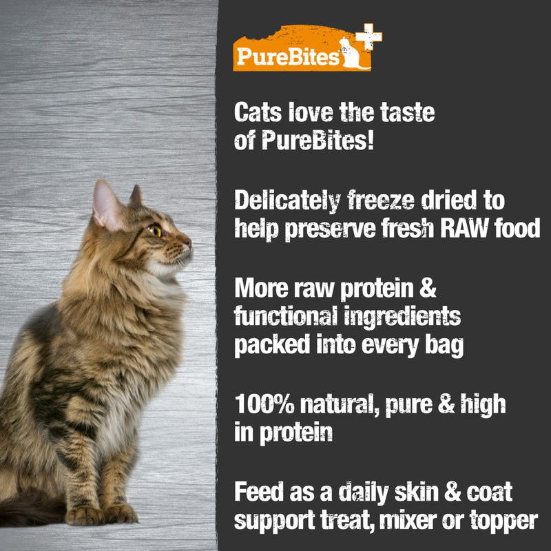 Purebites - Skin & Coat Freeze Dried Cat Treats