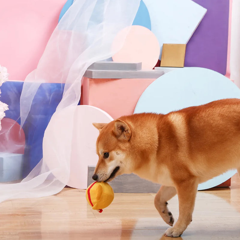 Castle Story – Princess super ball 2-in-1 toy