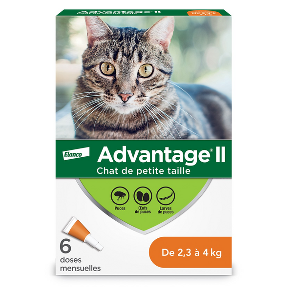 Advantage II for Cats