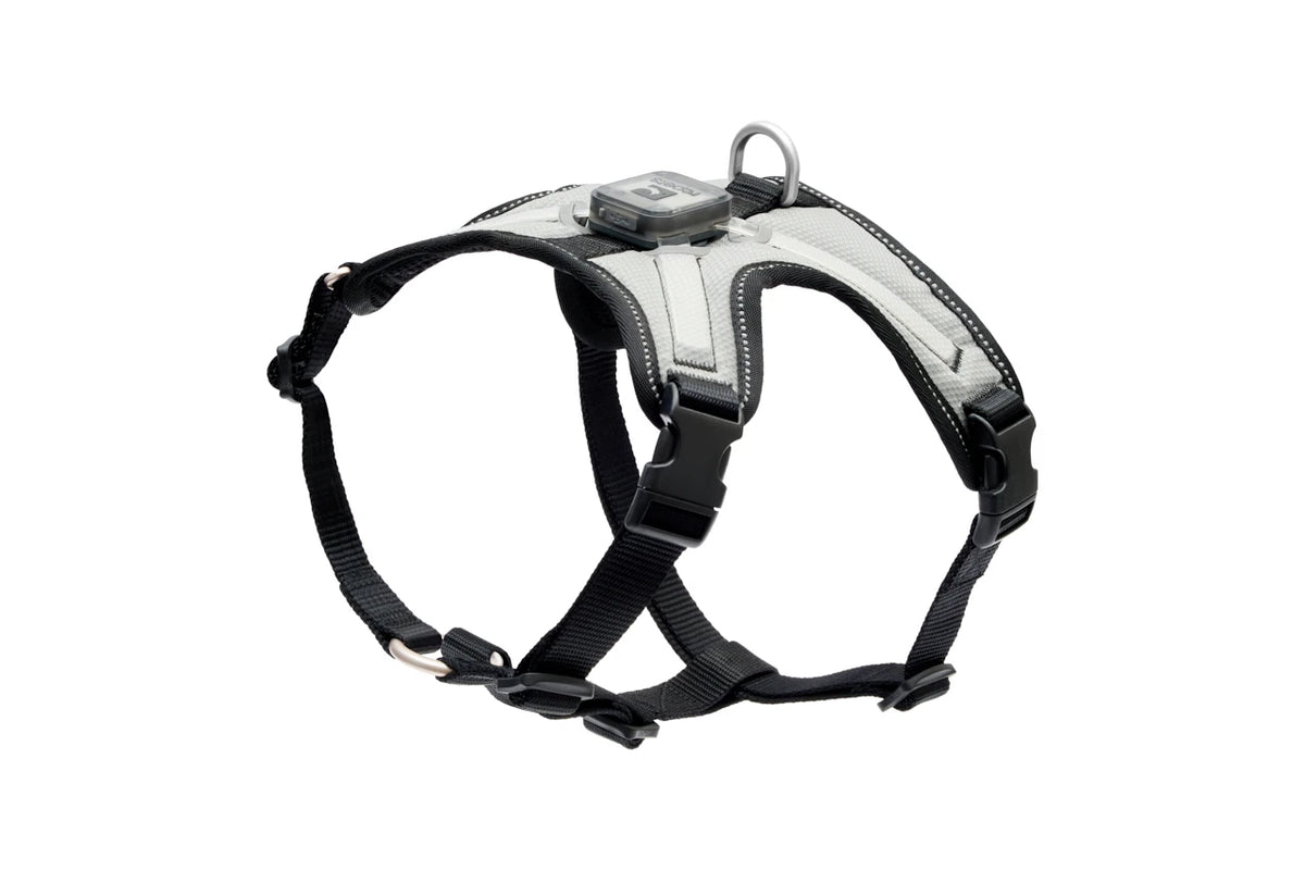 RC Pets Nova LED Light Harness