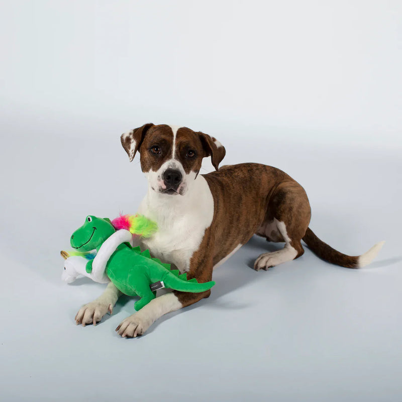 Fringe Studio - SUMMA TIME REX DOG TOY