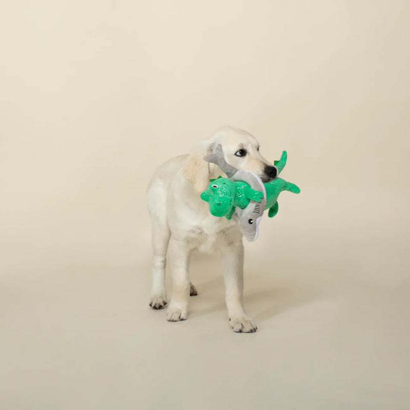 Fringe Studio - Shark Week Rex