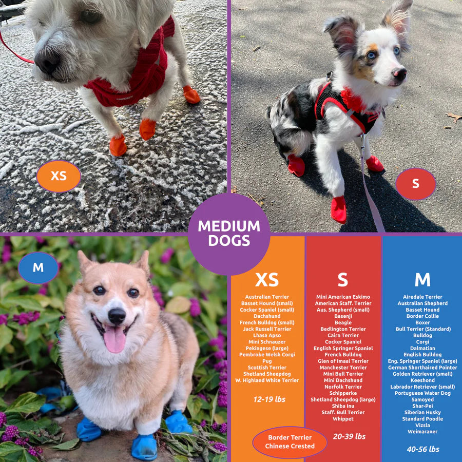 PawZ Rubber Dog Boots, 12 Boots (1 pack)