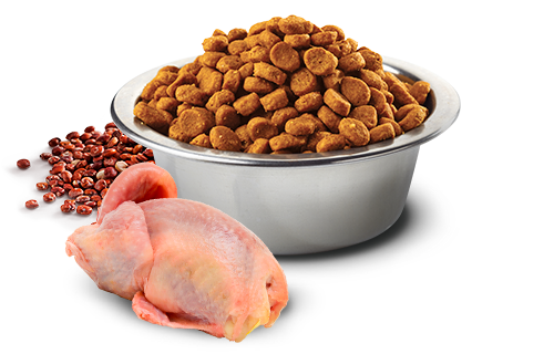 Farmina - Skin & Coat Quail & Quinoa