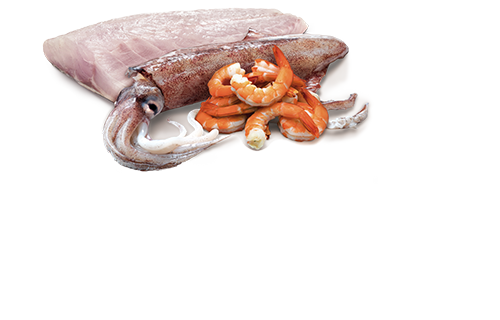 Farmina - Ocean - Wet Cat Food - Sea Bass, Sardine & Shrimp 2.8oz