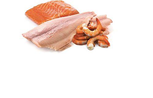 Farmina - Ocean - Wet Cat Food - Trout, Salmon & Shrimp 2.8oz