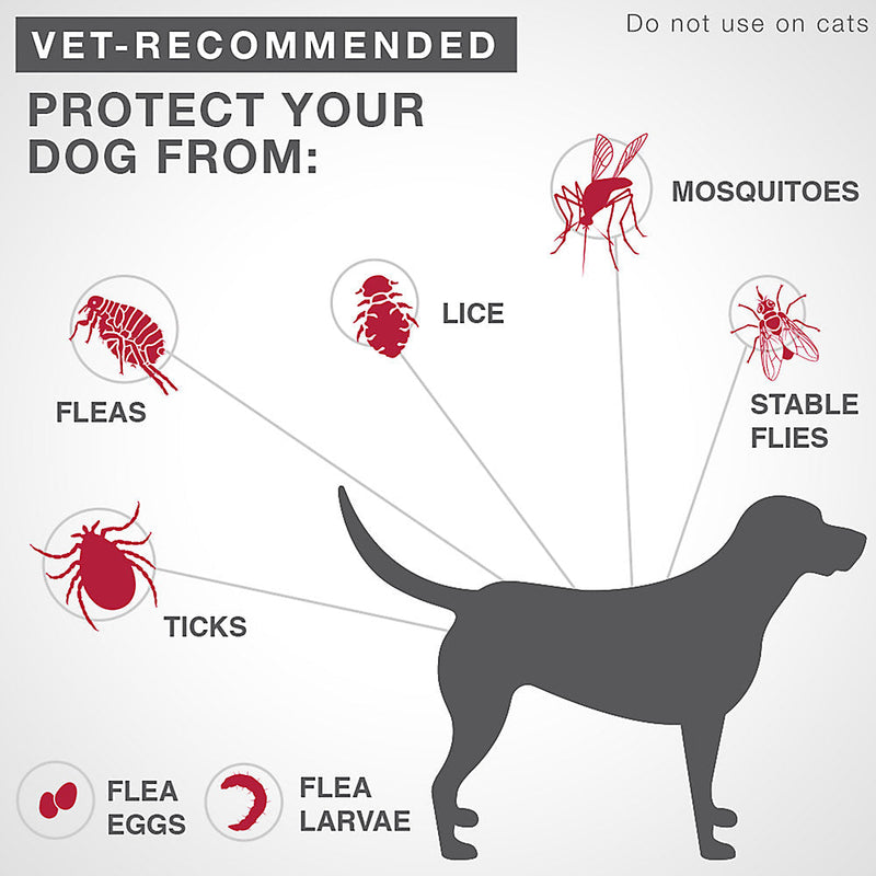 K9 Advantix® II - Medium Dog