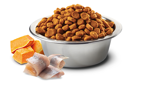 Farmina - Ocean - Dog Formula - Cod, Orange & Pumpkin Mini