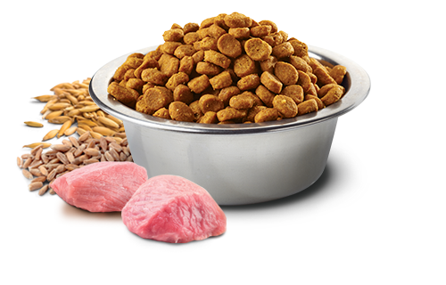 Farmina - Ancestral Grain  - Dog Formula - Chicken & Pomegranate Med/Maxi Puppy