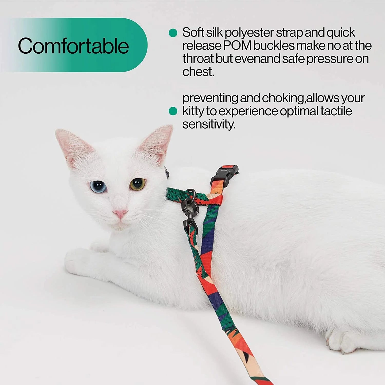 Pidan Cat Leash & Harness Set, Extra Large