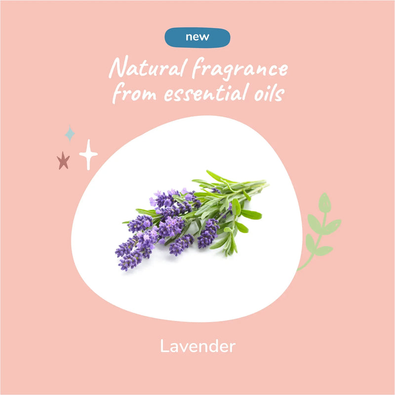 Oatmeal Shampoo for Dogs & Cats (Lavender)