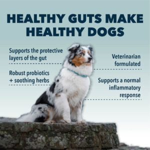 Four Leaf Rover - Gut Guard - For Dogs With Irritated, Leaky Guts