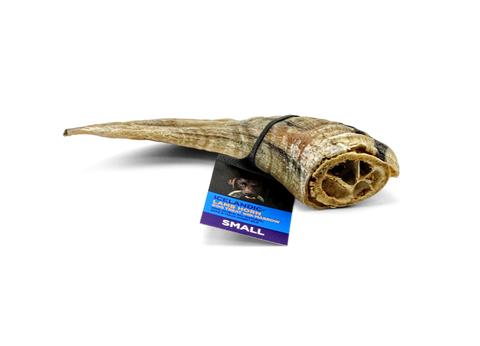 Lamb Horn Small