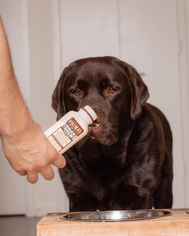 Primal Frozen Dog and Cat Milks - Goat Milk Enhanced Original