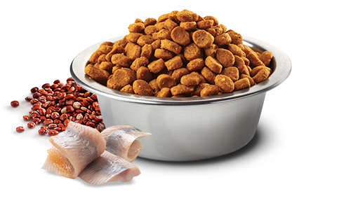 Farmina - Skin & Coat Herring & Quinoa Mini 5.5lbs