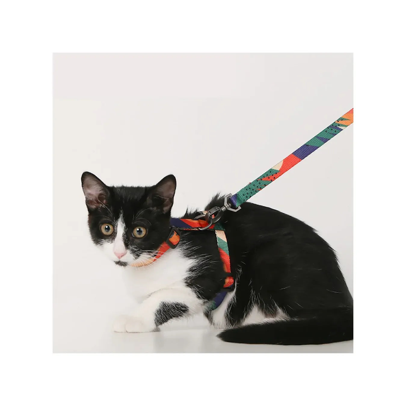 Pidan Cat Leash & Harness Set | Four Patterns
