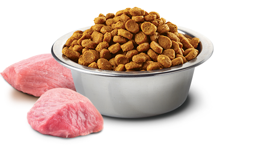 Farmina - Pumpkin - Dog Formula - Chicken, Pomegranate & Pumpkin Med/Maxi