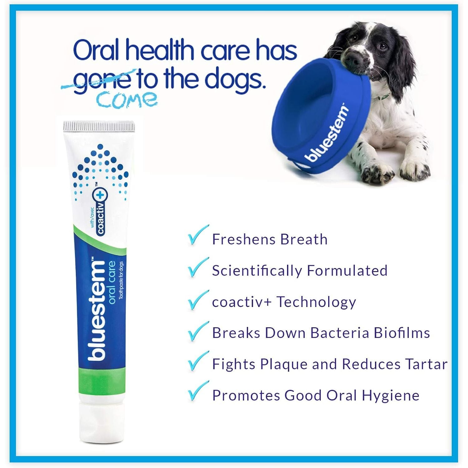 Bluestem Toothpaste for Dogs Vanilla Mint 70g