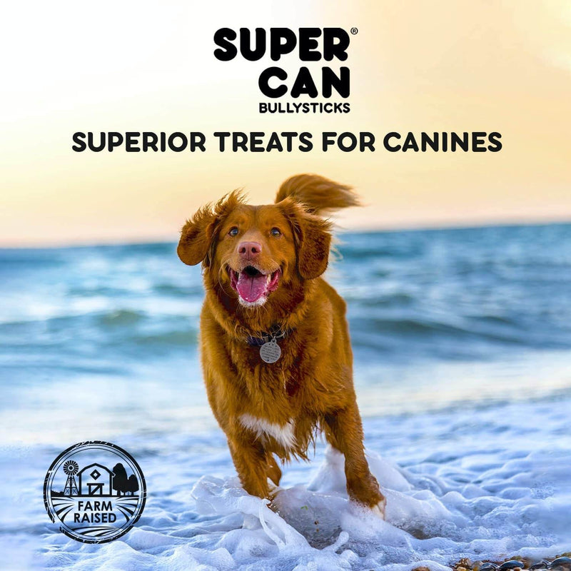 Super Can - 12" Trachea Odour Free