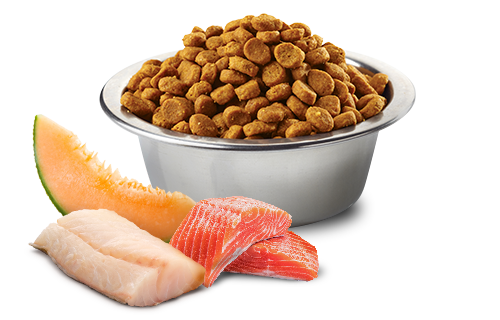 Farmina - Ocean - Dog Formula - Salmon, Cod & Cantaloupe Maxi Giant 26.4lb