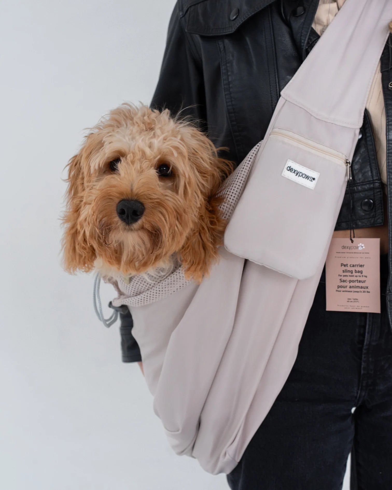 Dexypaws Beige Pet Travel Bag