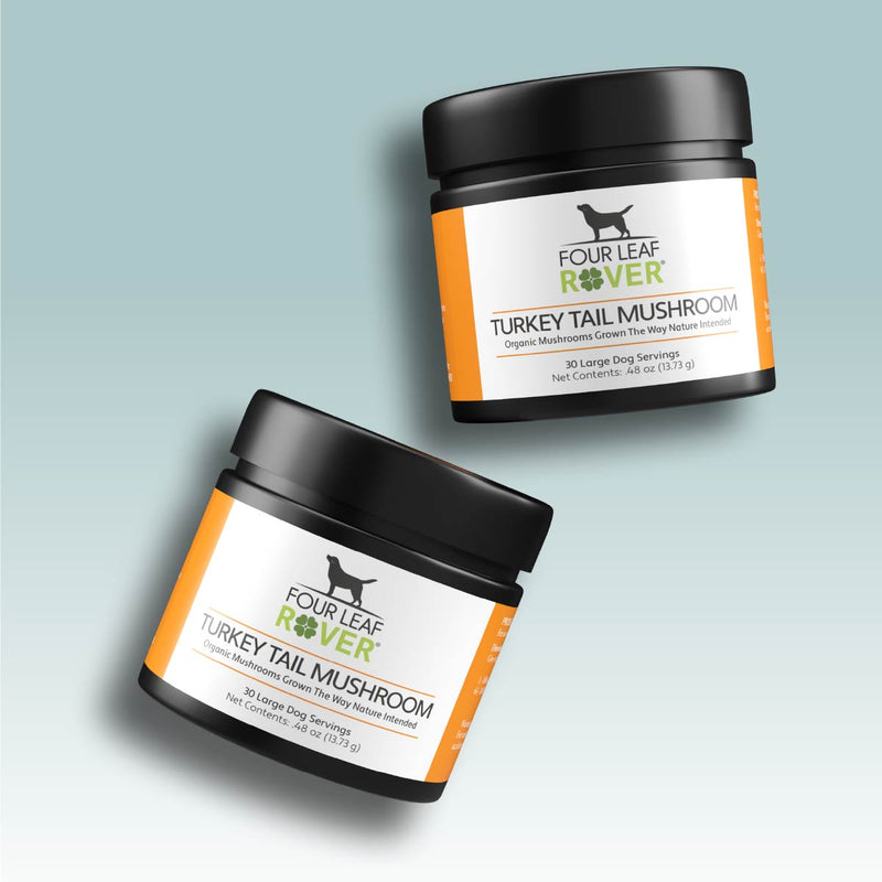 Four Leaf Rover - Lion's Mane - Organic Mushroom Extract