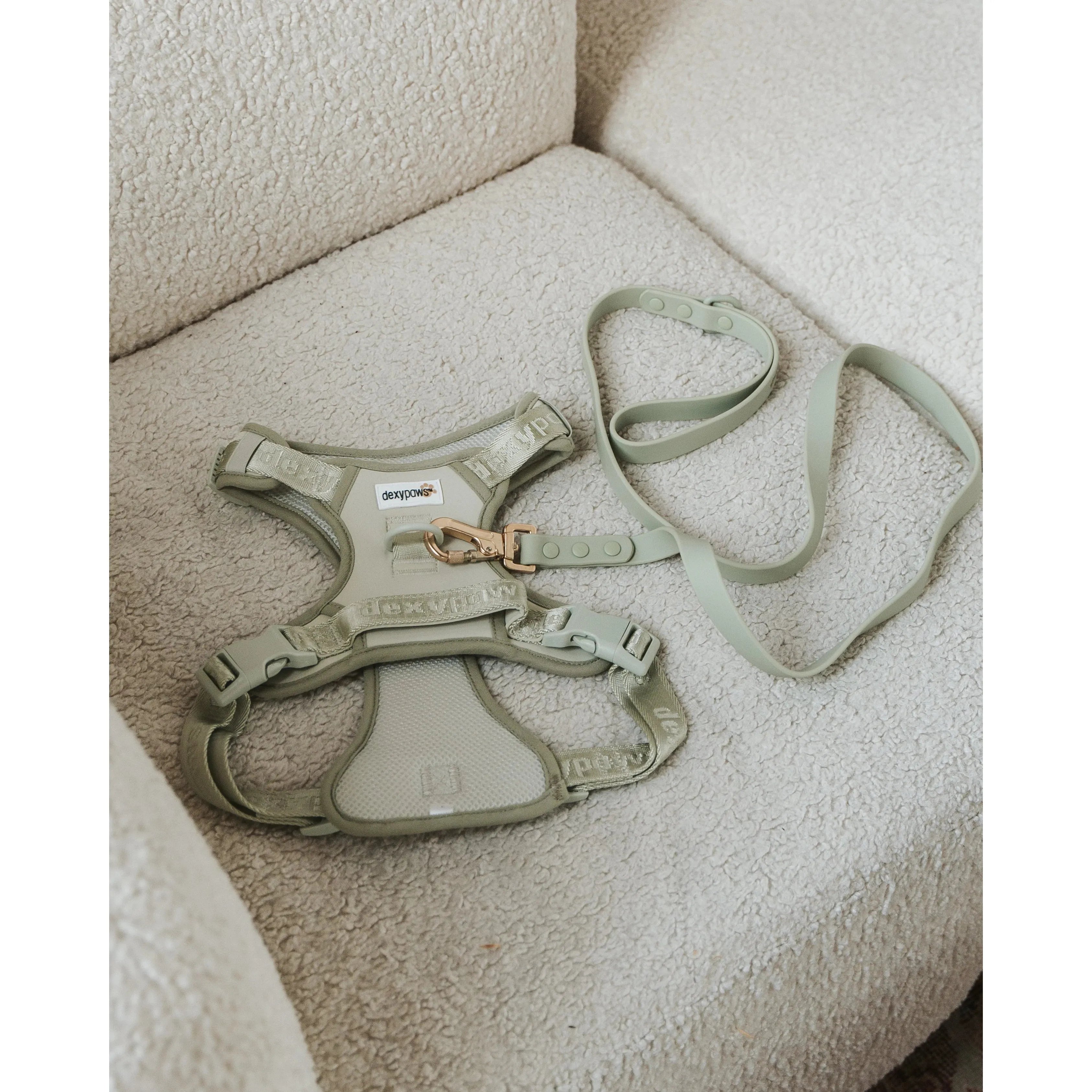 Dexypaws No-Pull Dog Harness, Sage Green Medium Dog