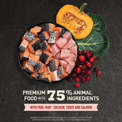 ACANA Highest Protein Indoor Cat Recipe Cat Dry Food