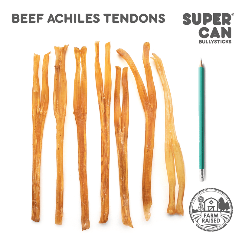 Super Can - 7″-9″ Beef Achilles Tendons