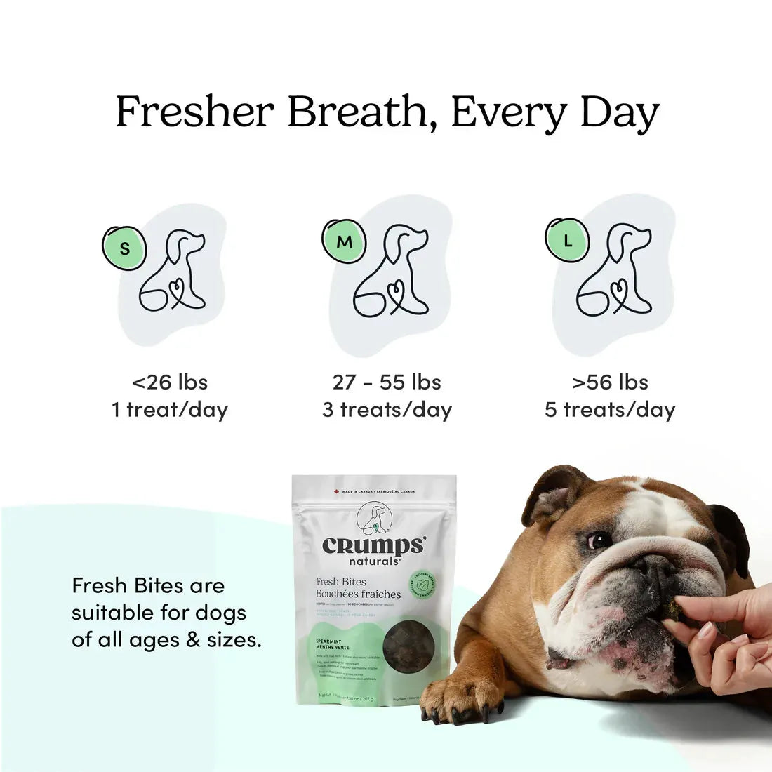 Crumps' Naturals Fresh Bites Spearmint Dog Treats by Crumps' Naturals