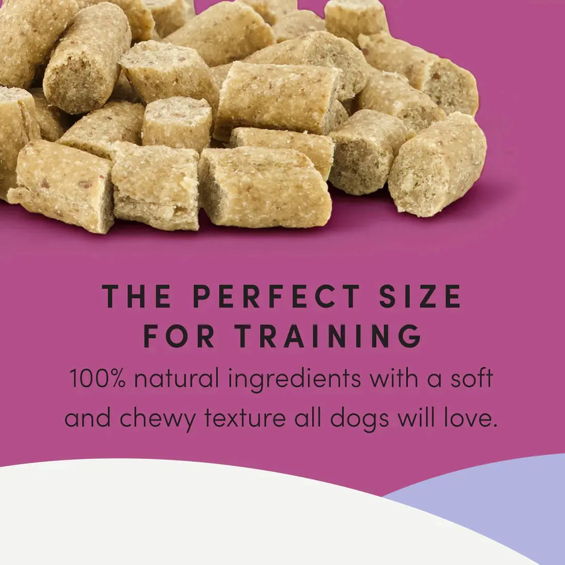 Crumps' Naturals Semi Moist Lamb Mini Trainers by Crumps' Naturals