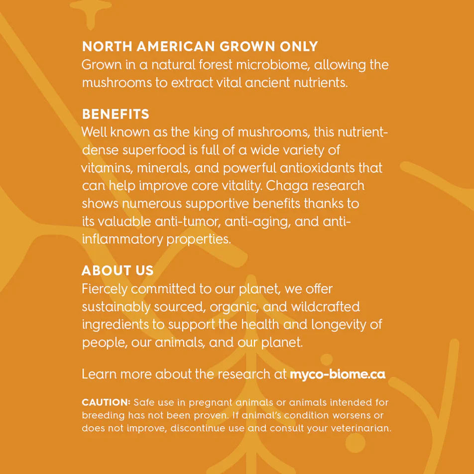 Adored Beast - Chaga Mushrooms | Liquid Extract