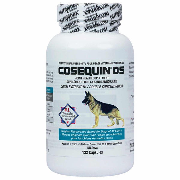 Cosequin DS capsules for dogs