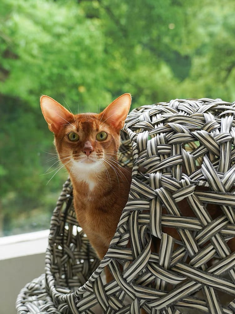 Zeze  - Gray - Woven Hammock cat bed