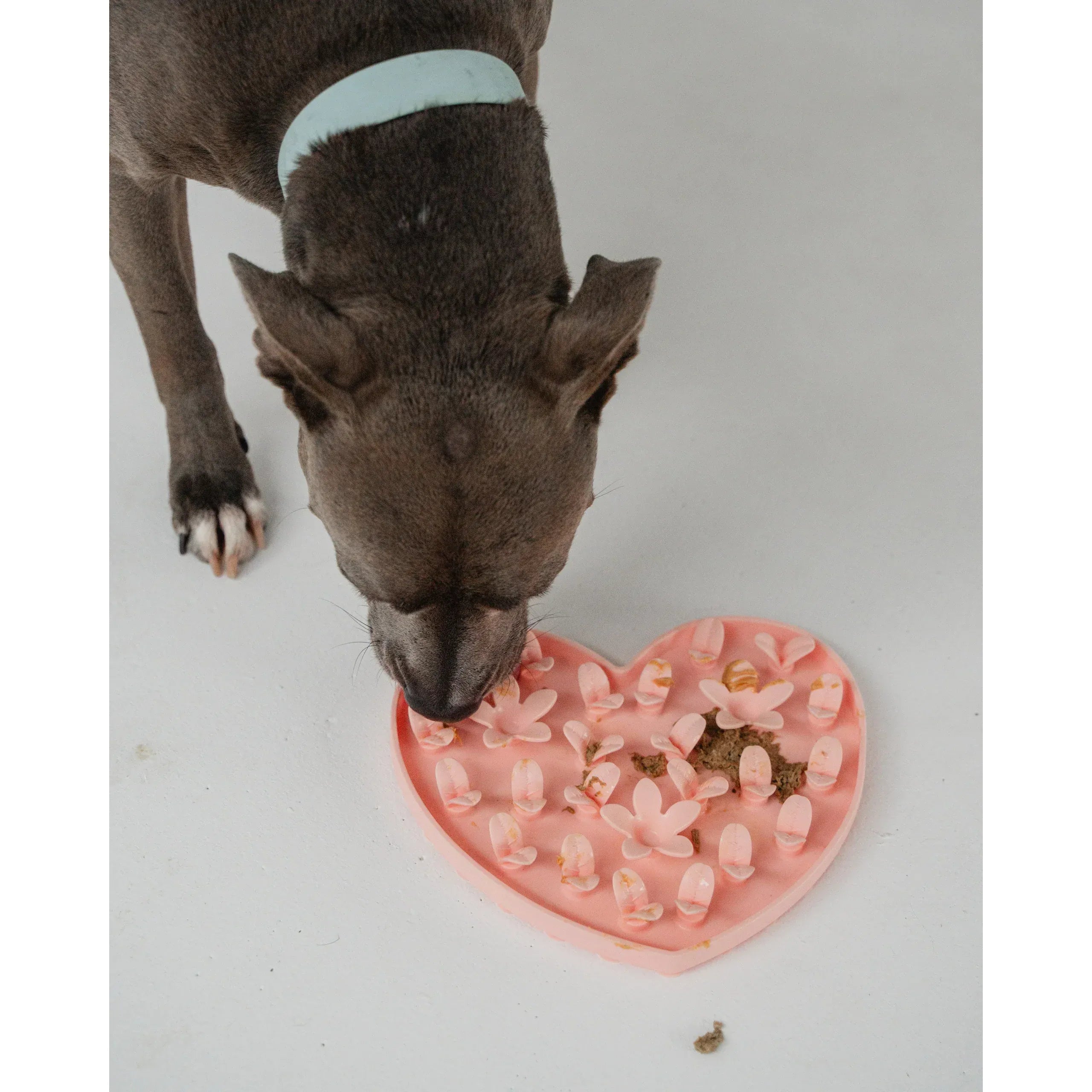 Dexypaws Sillicon Enrichment Snuffle Mat