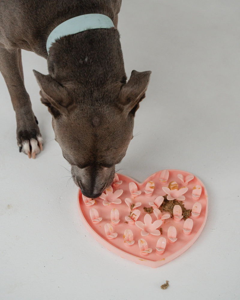 Dexypaws - Sillicon Enrichment Snuffle Mat