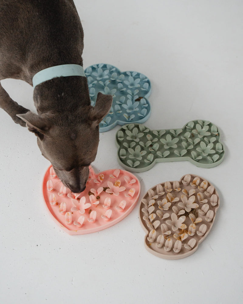 Dexypaws - Sillicon Enrichment Snuffle Mat