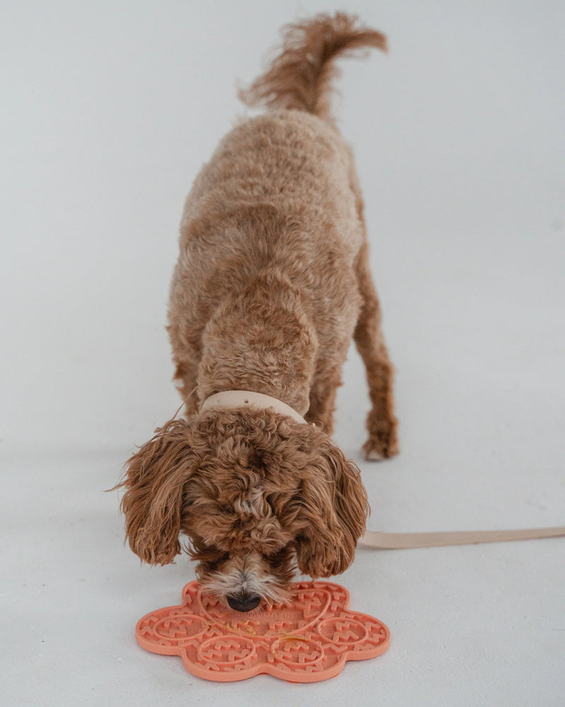 Dexypaws - Enrichment Lick Mat