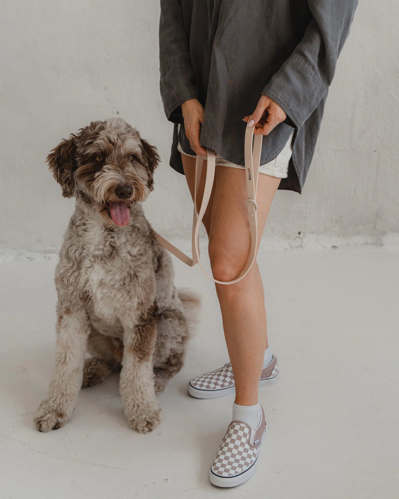 Dexypaws - Waterproof Dog Leash