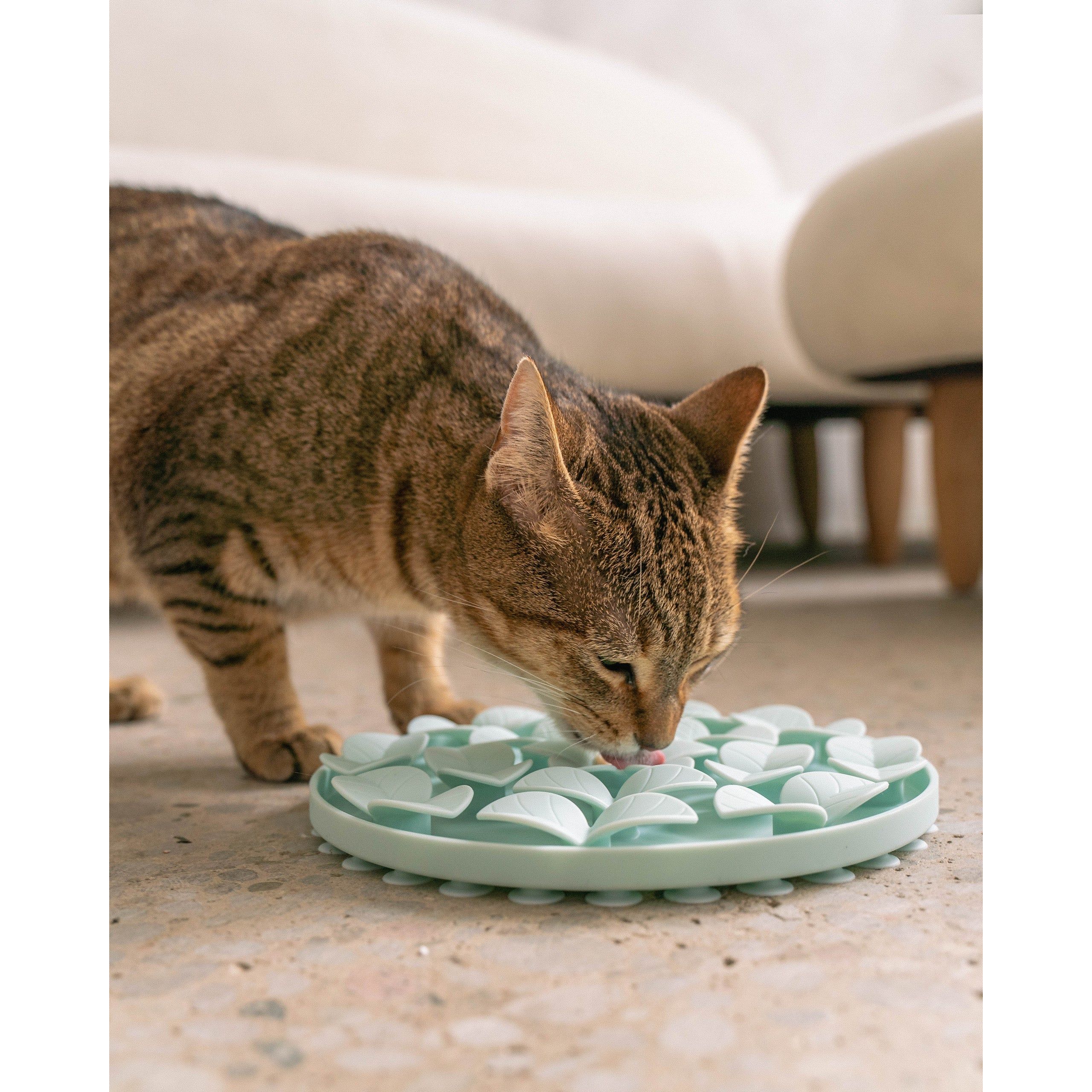 Dexypaws Sillicon Enrichment Snuffle Mat