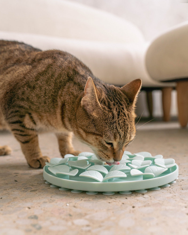 Dexypaws - Sillicon Enrichment Snuffle Mat