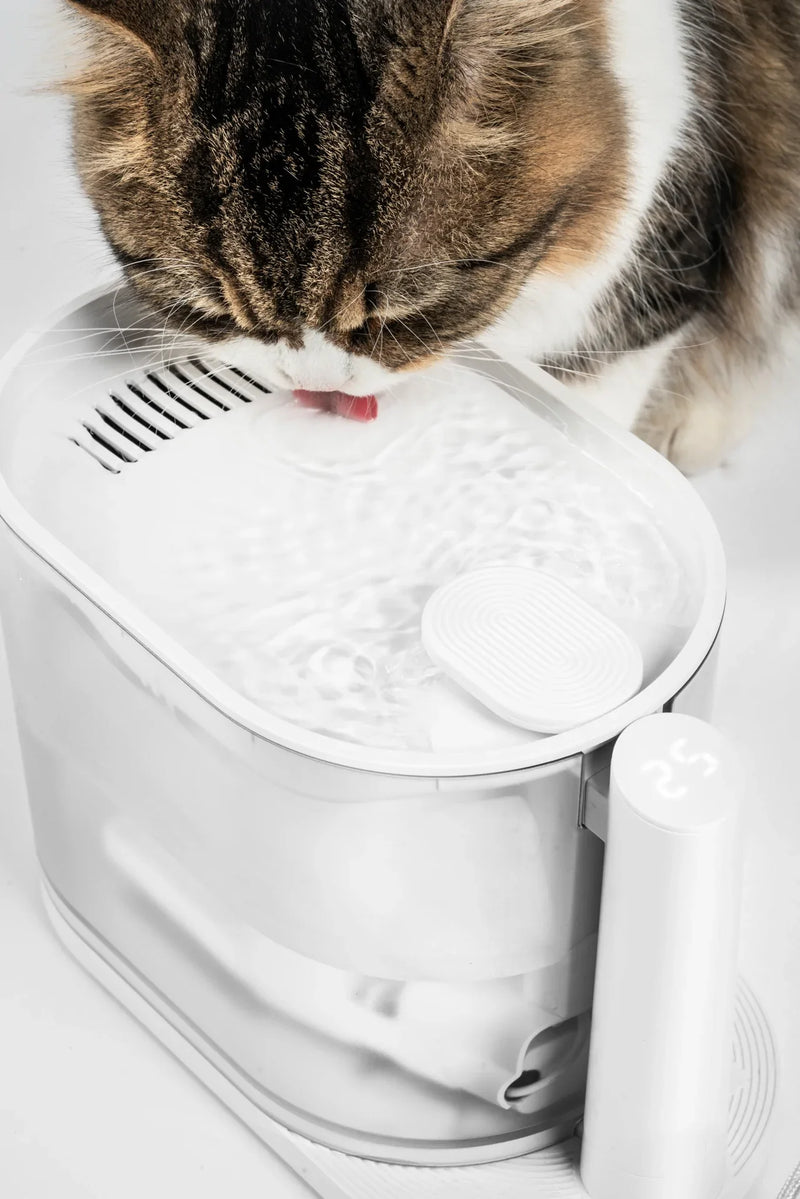 Pidan Water Fountain for Cats with Water Temperature Control