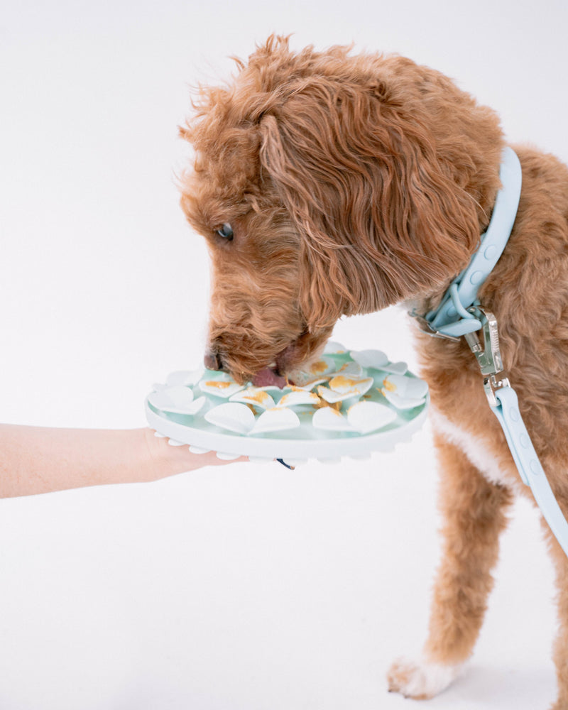 Dexypaws - Sillicon Enrichment Snuffle Mat