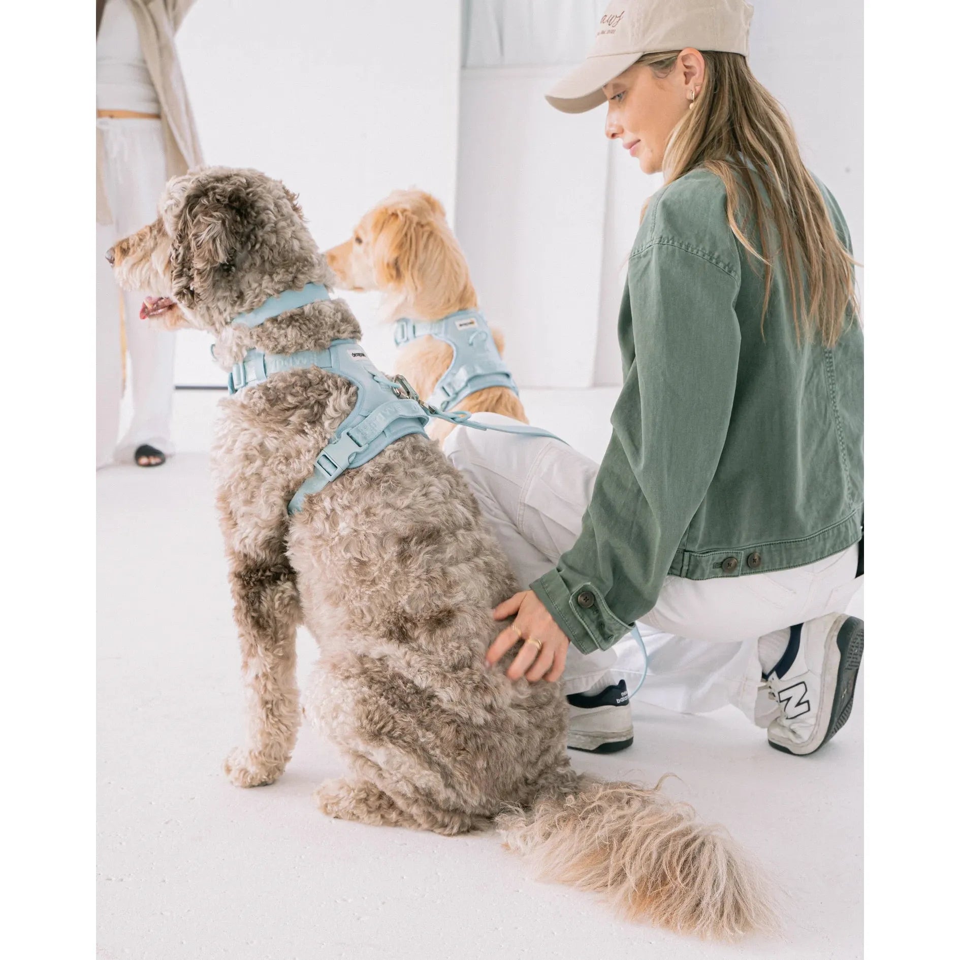 Harnais anti-traction pour chien Dexypaws, bleu ciel 