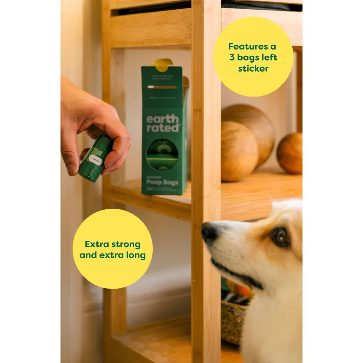 Earth Rated® Lavender Scented Poop Bags