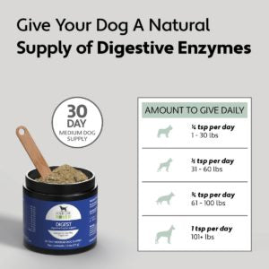 Four Leaf Rover - Digest - Digestive Enzymes And Probiotics For Dogs